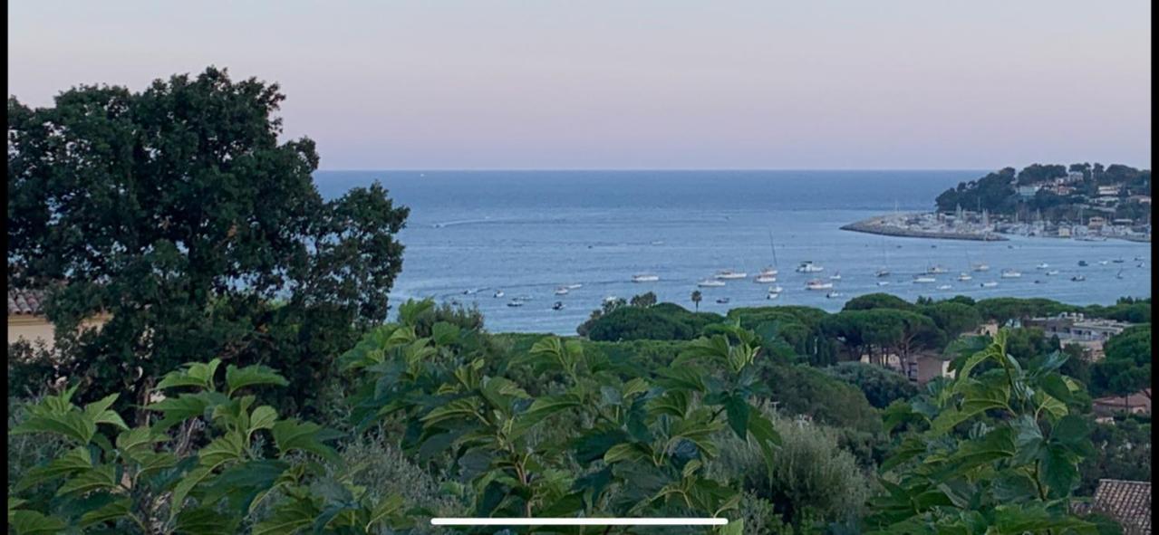 Les Citronniers - Splendide Vue Mer Acces Plage A Pieds A 5 Minutes Cavalaire-sur-Mer Eksteriør billede